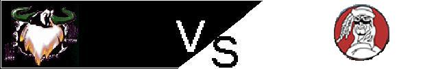 vsnss.jpg